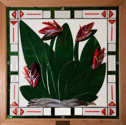 Tropical Birds of Paradise